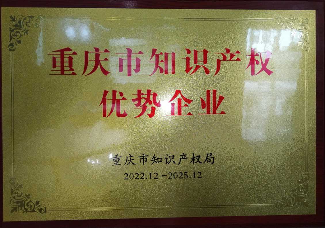 重庆市知识产权优势企业
